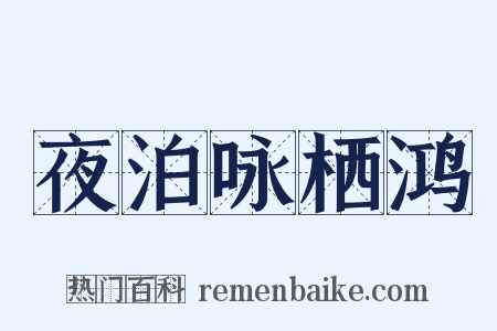 夜泊咏栖鸿是什么意思的图片